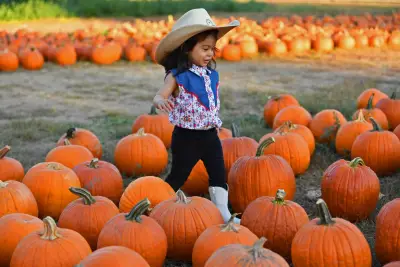 Bay Area pumpkin patches: Your guide to finding the perfect pumpkins this fall