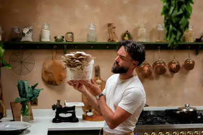 The super healthy food you can grow in your bathroom — it’s so easy and needs no sunlight