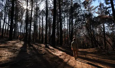 The Pickett Fire’s destruction hid a quiet miracle in Napa County’s hills