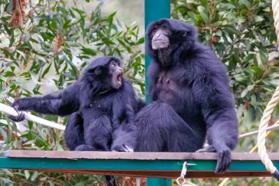 Snapp Shots: Remembering the late Jane Goodall’s visit to the Oakland Zoo