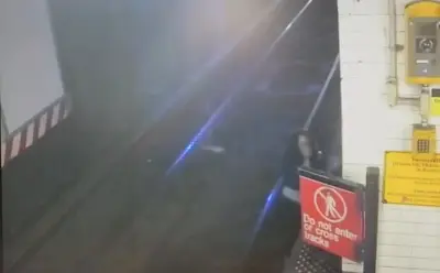NYC woman once accused of murder is struck, killed by subway train after jumping on tracks to relieve herself: video