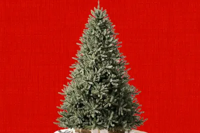 Balsam Hill fans, rejoice: this Classic Spruce is 50% off for Prime Day