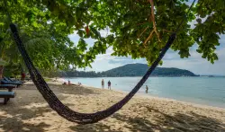 Couple caught having sex in hammock outside Southampton hotspot