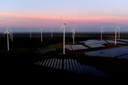 Solar and wind power has grown faster than electricity demand this year, report says