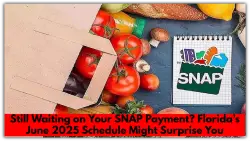 Still Waiting on Your SNAP Payment? Florida’s June 2025 Schedule Might Surprise You