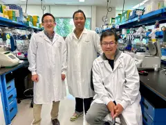 Did a lab of AI “scientists” design a possible COVID treatment?