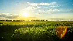 ‘It doesn’t have to be this way’: Scientists confirm Iowa farm pollution is creating dire health risks