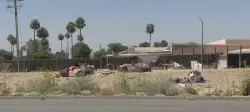 Woman killed near California park after being torn apart by pack of stray dogs, pit bull shot by cops