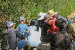 San Jose’s Alum Rock Park hit by ‘BioBlitz’