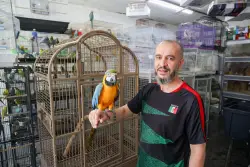 NYC bill would ban pet stores from hawking birds — leaving activists crowing and small-biz owners crying fowl